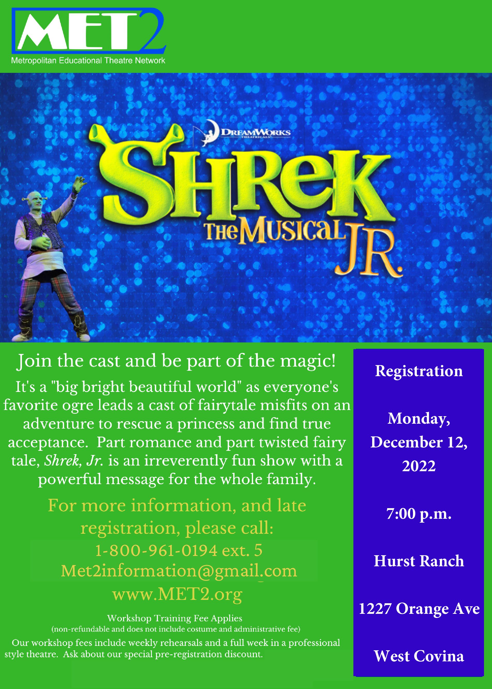 Metropolitan Educational Theater Network